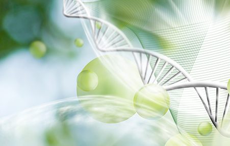 Headhunter Verfahrenstechnik 